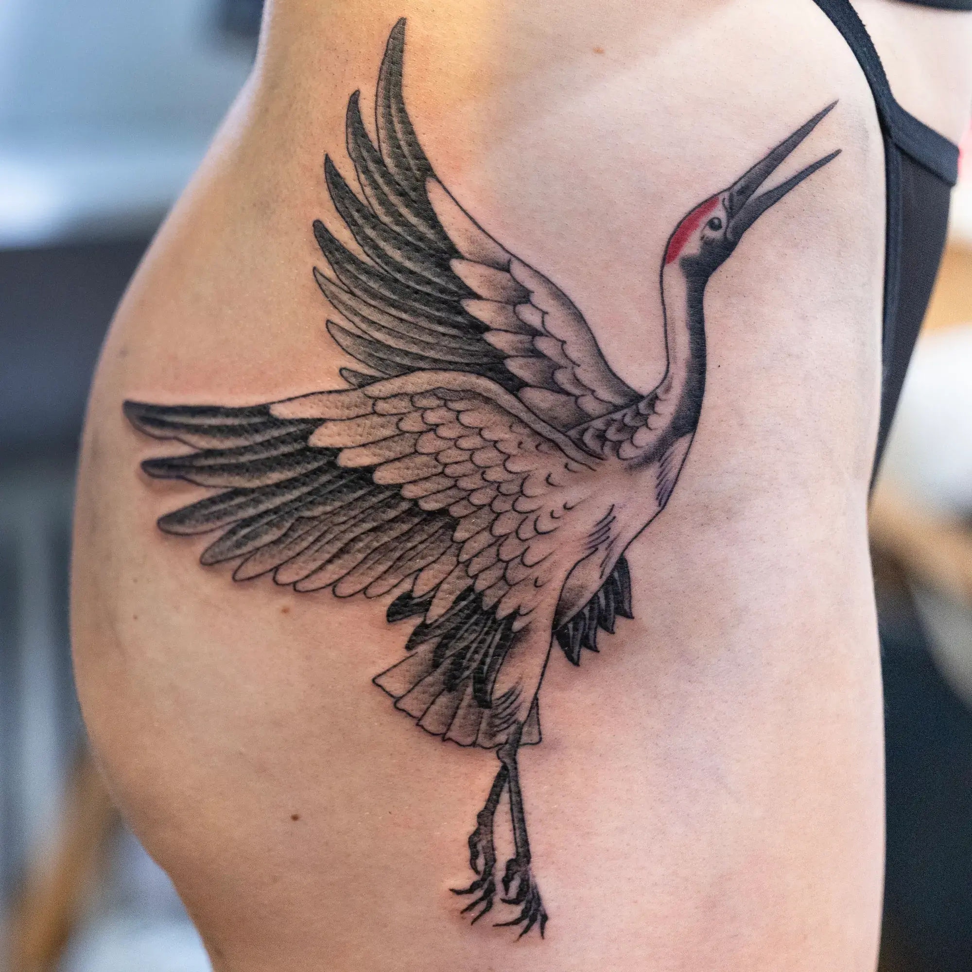Tattoo by Mike Stapleton